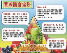 中国部?中学食谱